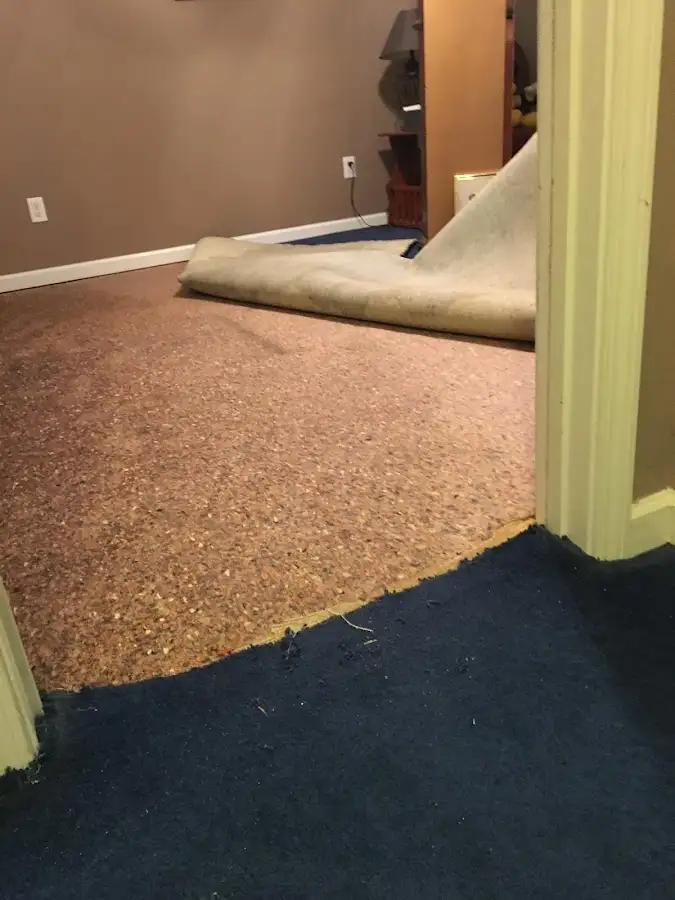 Carpet pad removal revealing water damage during Water Mitigation Services in Oakwood