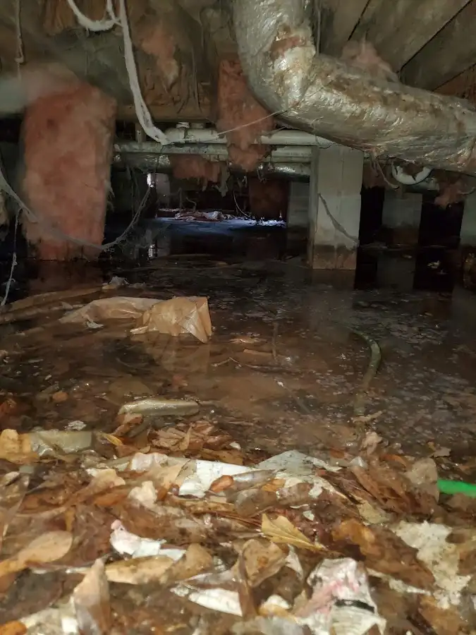 Crawl space flood assessment for Leak Detection & Repair in Oakwood
